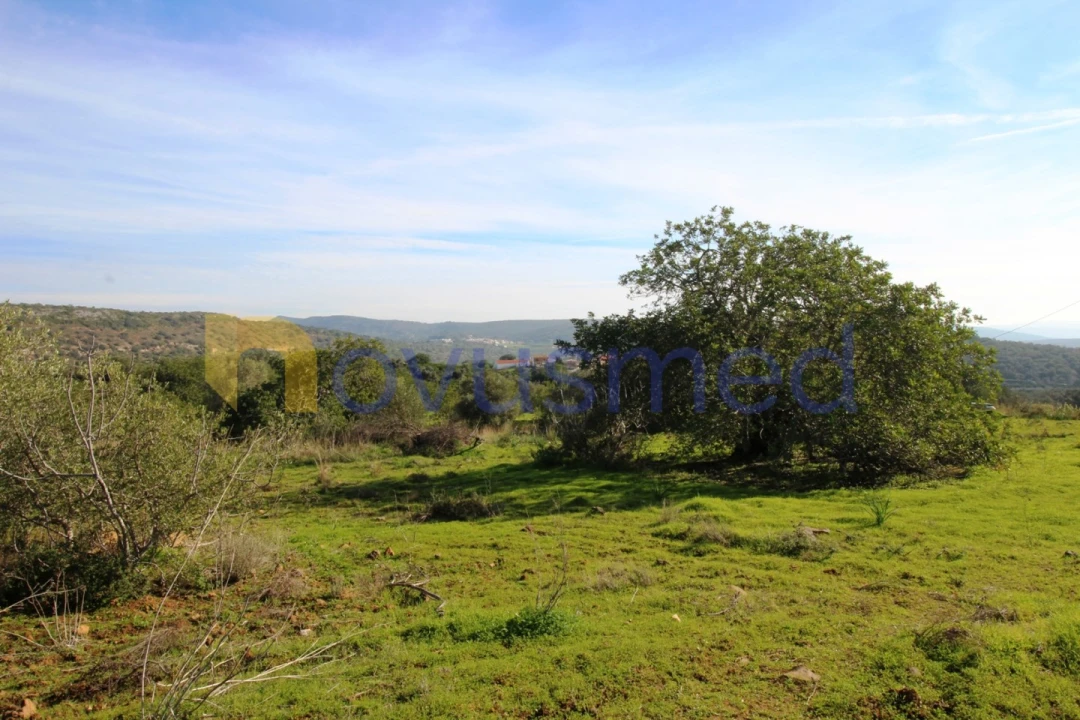 Quinta T3 para Venda em Alte Foto 27