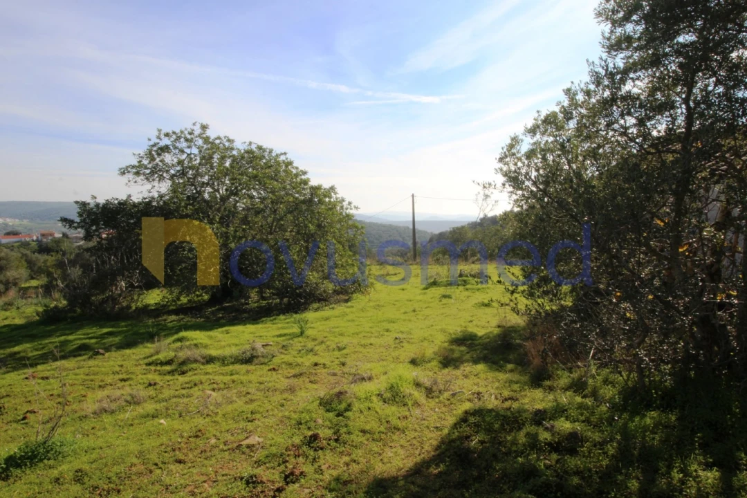 Quinta T3 para Venda em Alte Foto 28