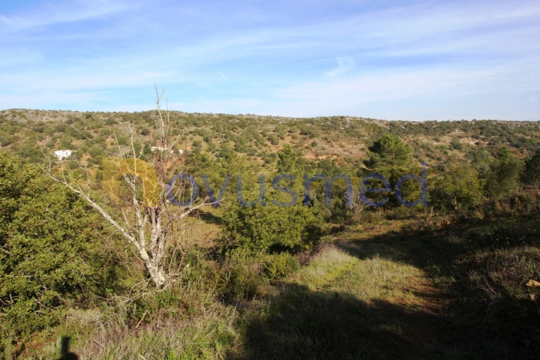 Quinta T3 para Venda em Alte Foto 29