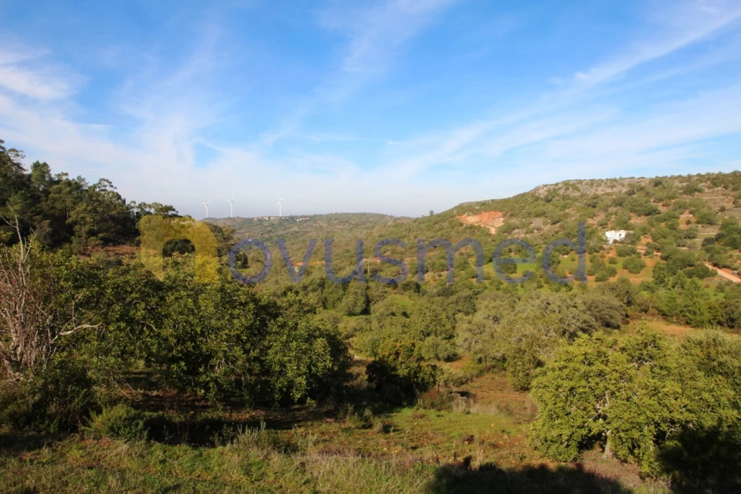Quinta T3 para Venda em Alte Foto 30
