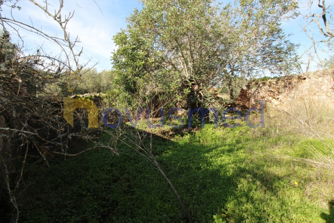 Quinta T3 para Venda em Alte Foto 32