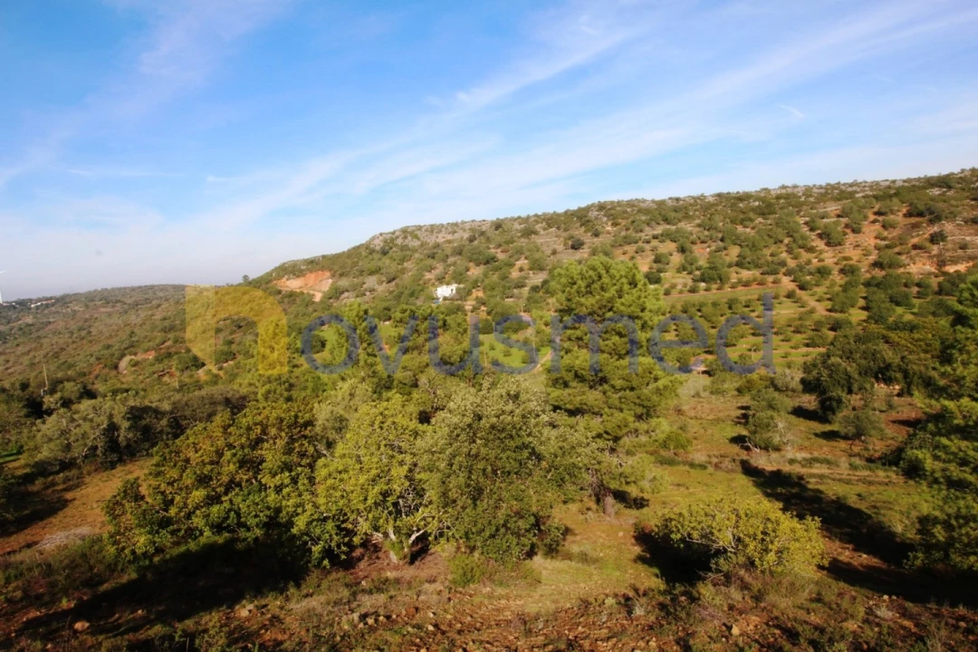 Quinta T3 para Venda em Alte Foto 35