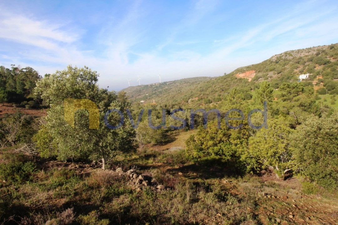 Quinta T3 para Venda em Alte Foto 37