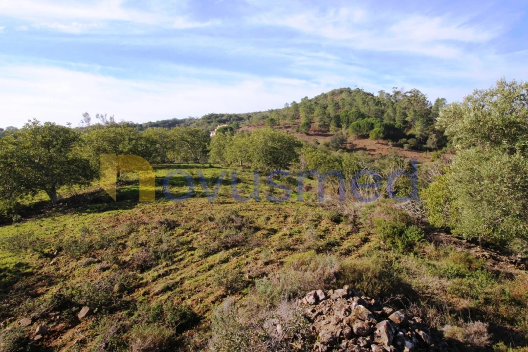 Quinta T3 para Venda em Alte Foto 38