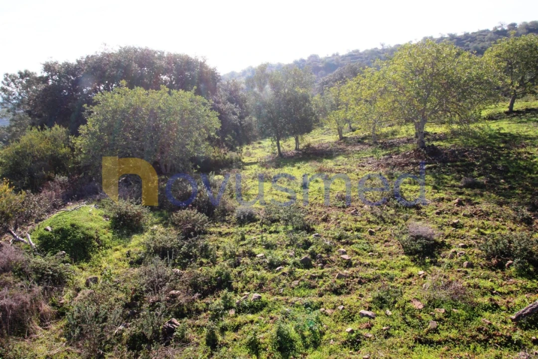 Quinta T3 para Venda em Alte Foto 40