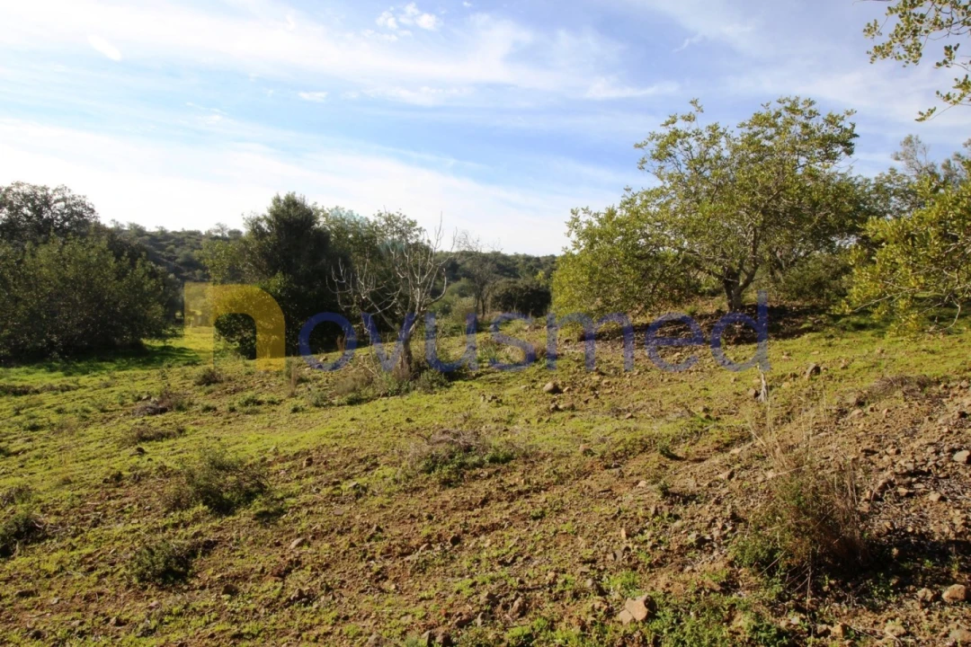 Quinta T3 para Venda em Alte Foto 41