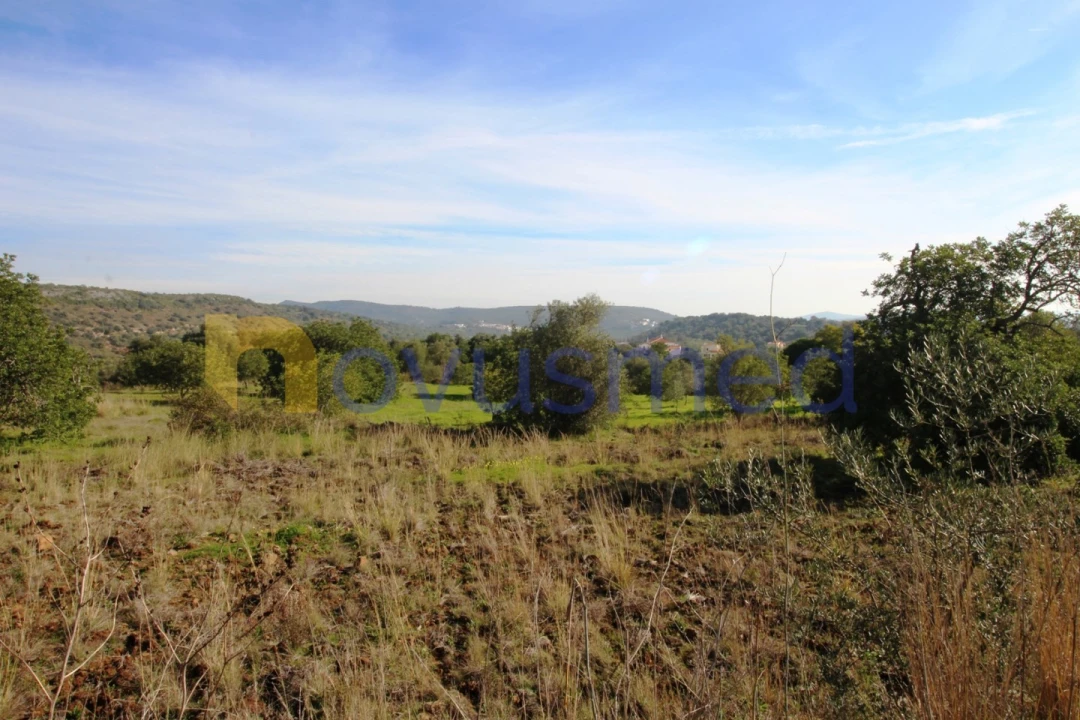 Quinta T3 para Venda em Alte Foto 44