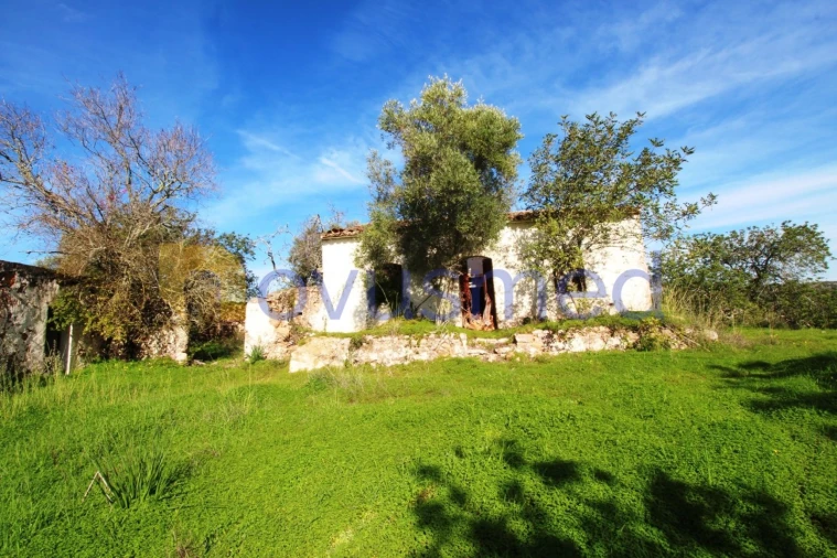 Quinta T3 para Venda em Alte Foto 17