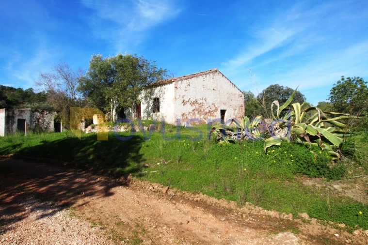 Quinta T3 para Venda em Alte Foto 19