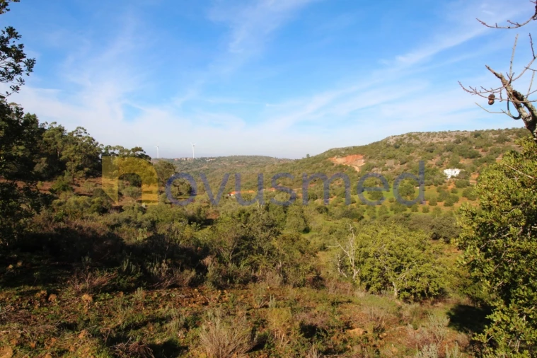 Quinta T3 para Venda em Alte Foto 24