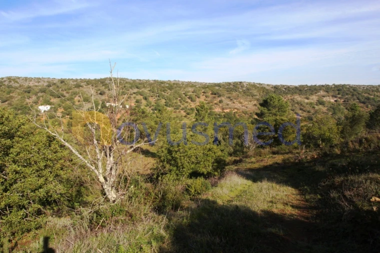 Quinta T3 para Venda em Alte Foto 29