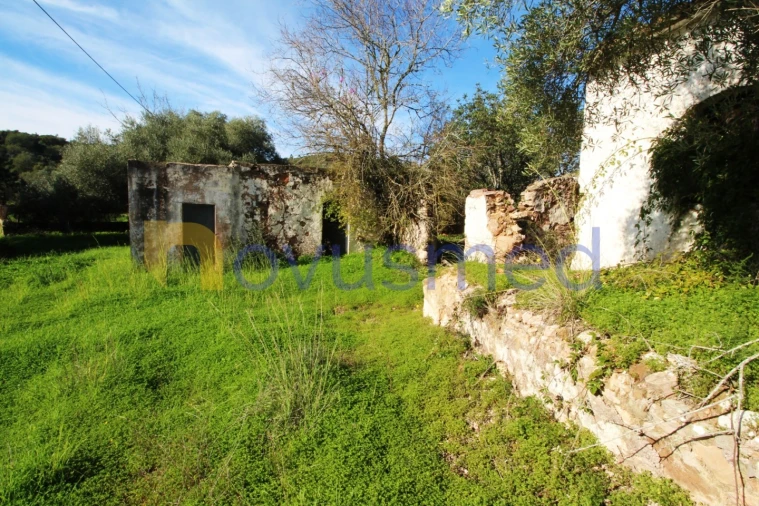 Quinta T3 para Venda em Alte Foto 31