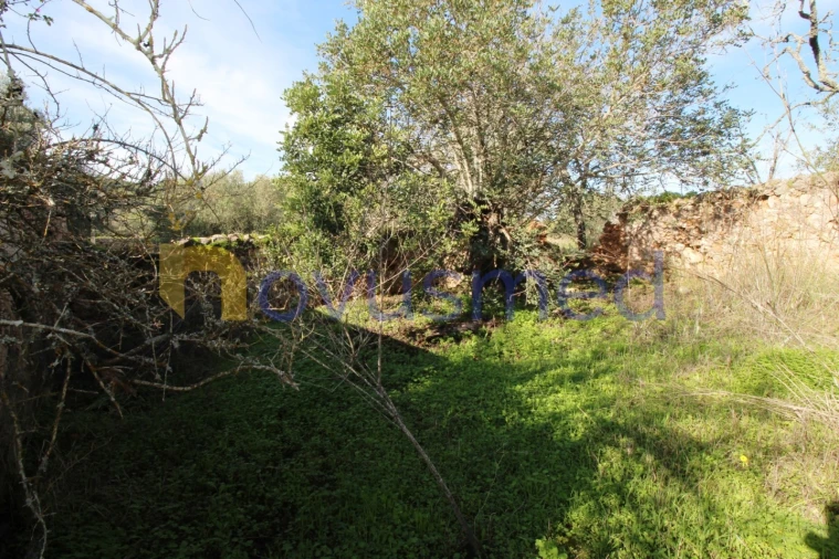 Quinta T3 para Venda em Alte Foto 32