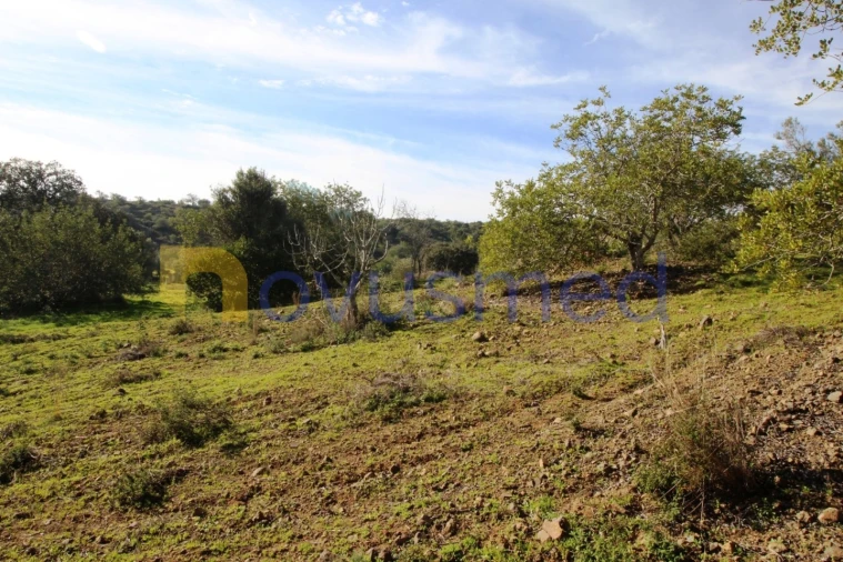 Quinta T3 para Venda em Alte Foto 41