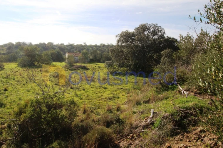 Quinta T3 para Venda em Alte Foto 42