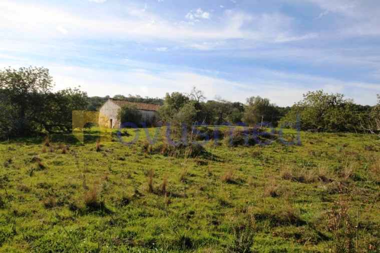 Quinta T3 para Venda em Alte Foto 43