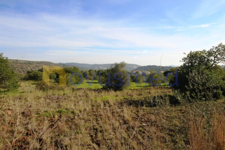 Quinta T3 para Venda em Alte Foto 44