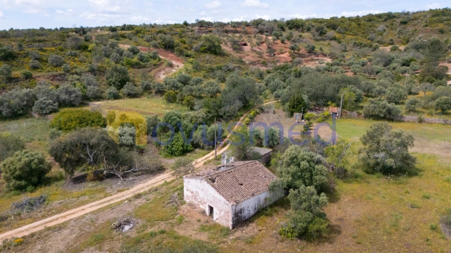 Quinta T3 para Venda em Alte Foto 13