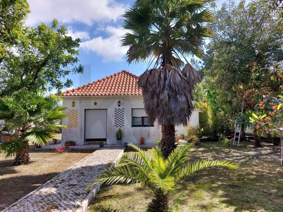 Terreno para Venda em Corroios Foto 8