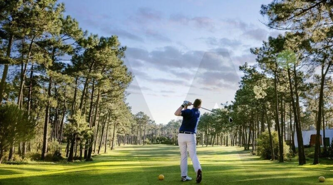 Terreno para Venda em Corroios Foto 14