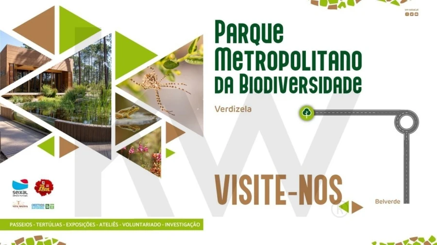 Terreno para Venda em Corroios Foto 11