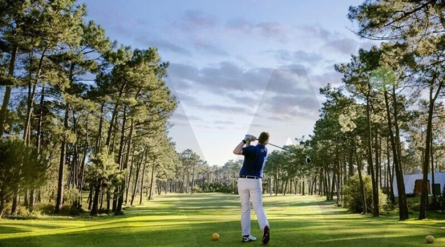 Terreno para Venda em Corroios Foto 14