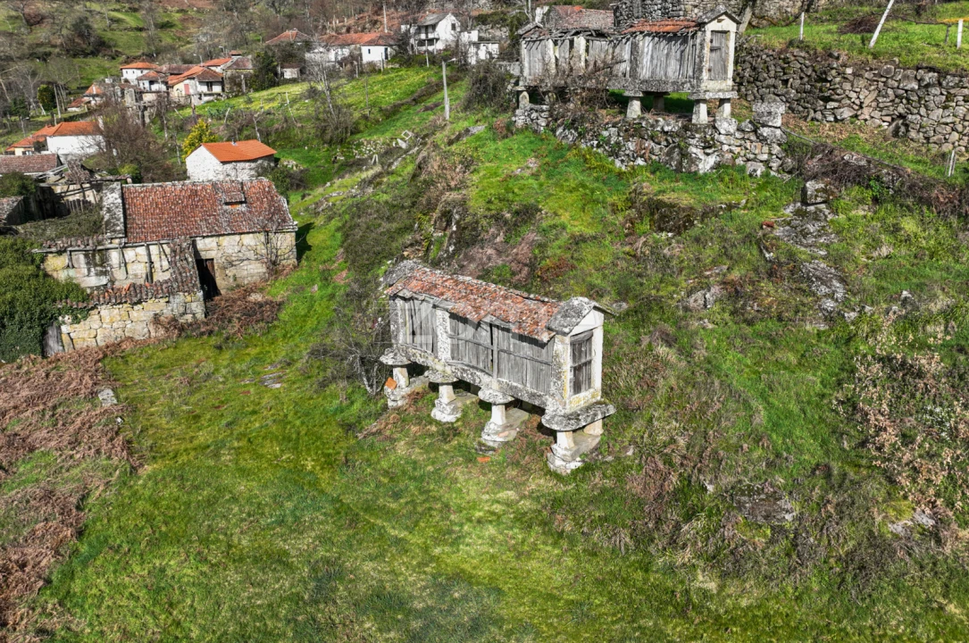 Moradia T2 para Venda em Canedo Foto 1