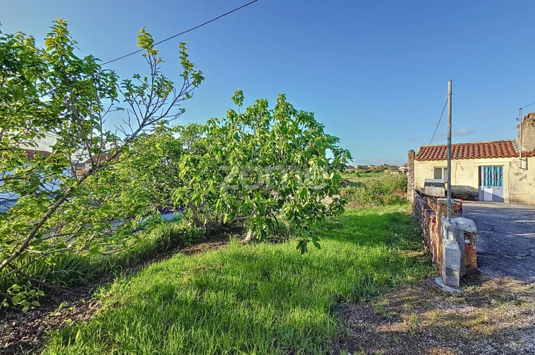 Moradia T1 para Venda em Alqueidão Foto 4