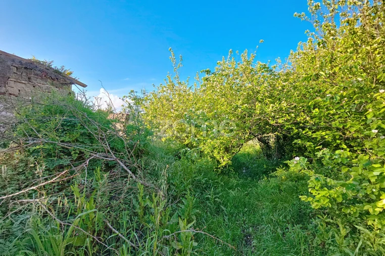 Moradia T1 para Venda em Alqueidão Foto 10