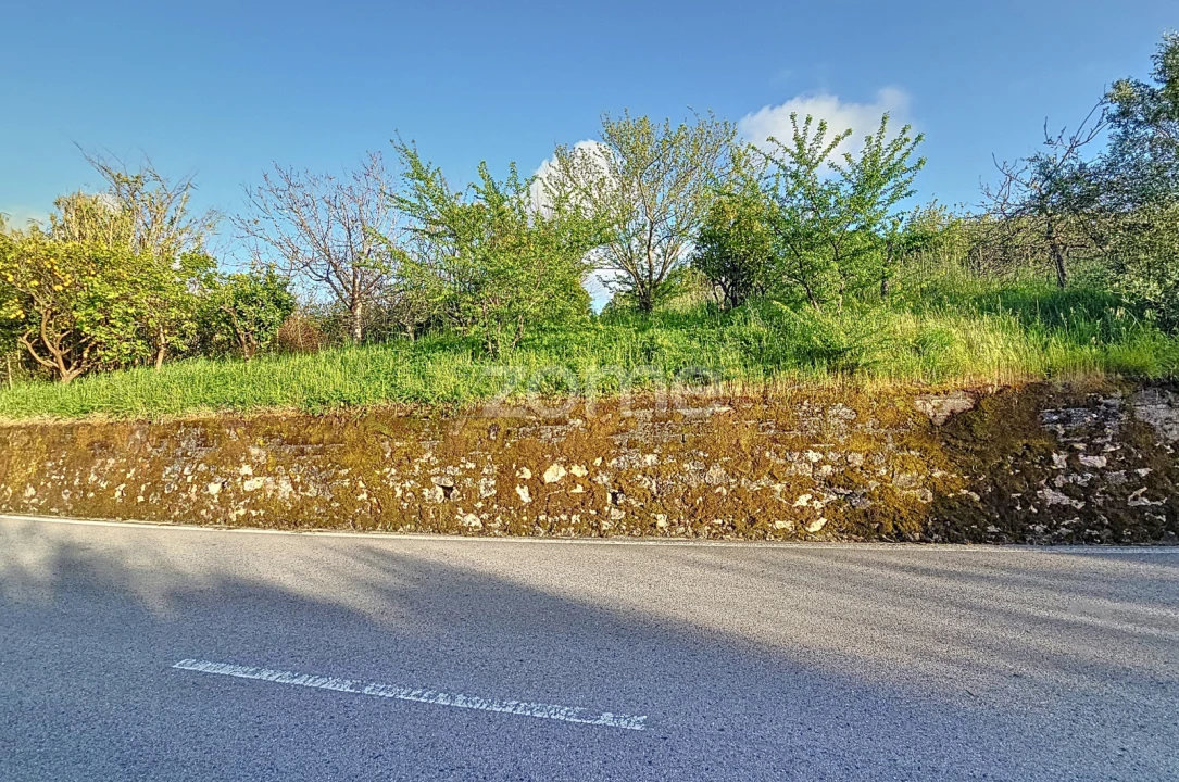 Moradia T1 para Venda em Alqueidão Foto 1