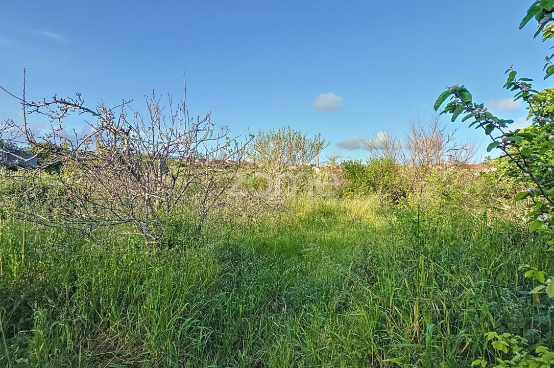 Moradia T1 para Venda em Alqueidão Foto 11