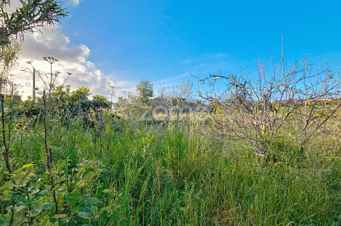 Moradia T1 para Venda em Alqueidão Foto 18