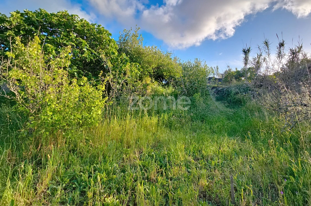 Moradia T1 para Venda em Alqueidão Foto 21