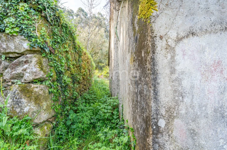 Moradia T1 para Venda em São Julião e Silva Foto 12