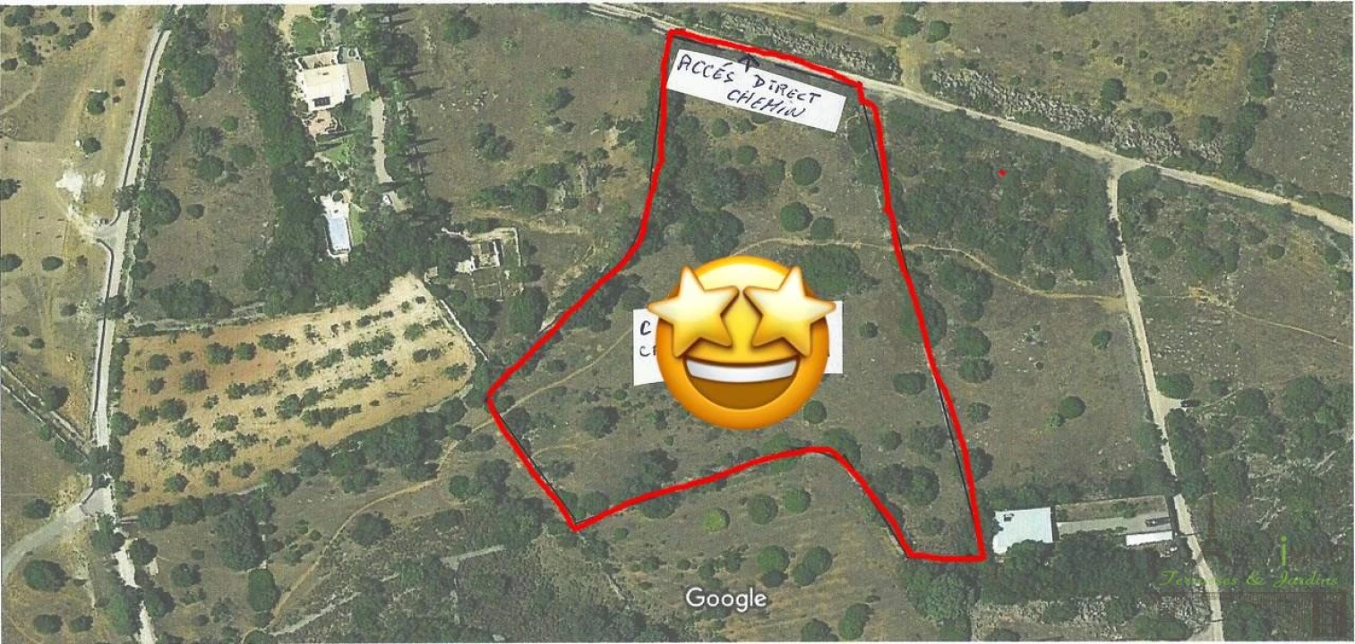 Terreno para Venda em Olhão Foto 1