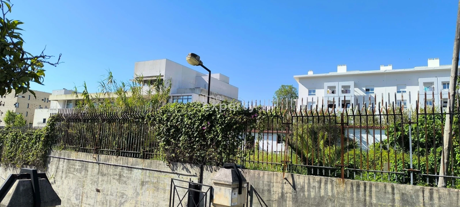 Terreno para Venda em Ajuda Foto 11