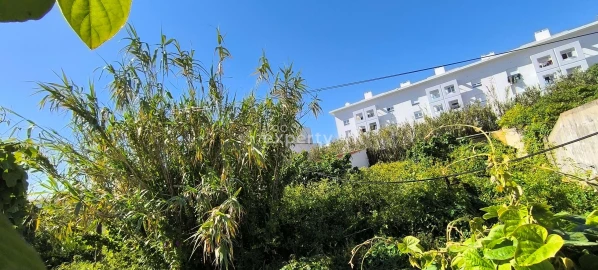 Terreno para Venda em Ajuda