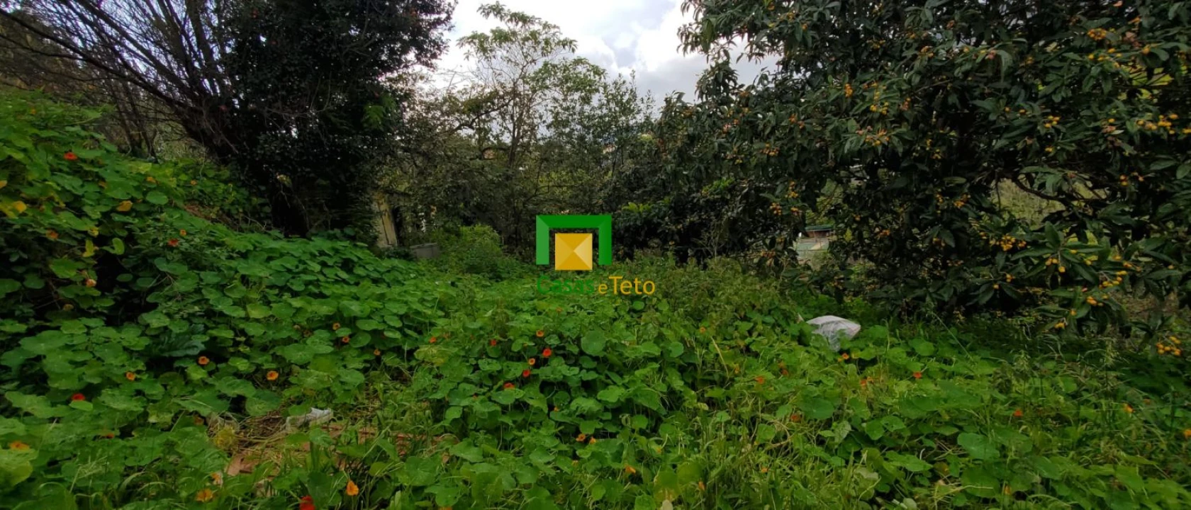 Terreno para Venda em São Martinho Foto 2