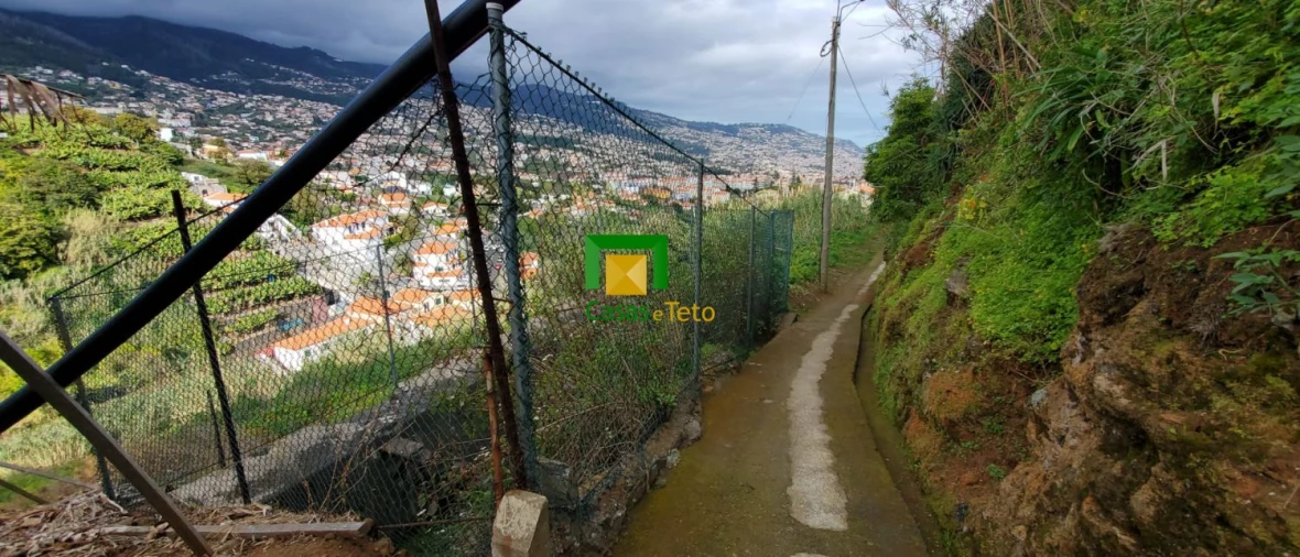 Terreno para Venda em São Martinho Foto 6