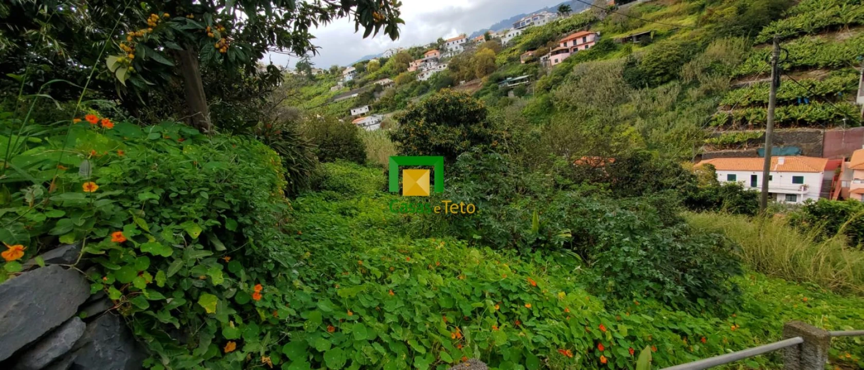 Terreno para Venda em São Martinho Foto 5