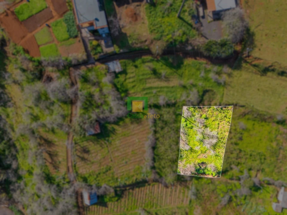 Terreno para Venda em São Roque do Faial Foto 11