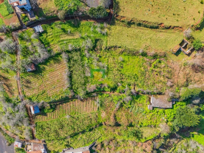 Terreno para Venda em São Roque do Faial Foto 4