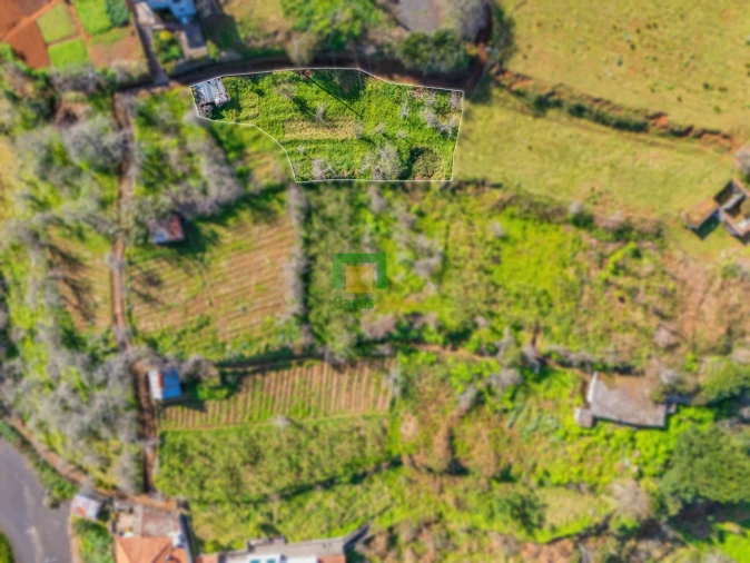 Terreno para Venda em São Roque do Faial Foto 6