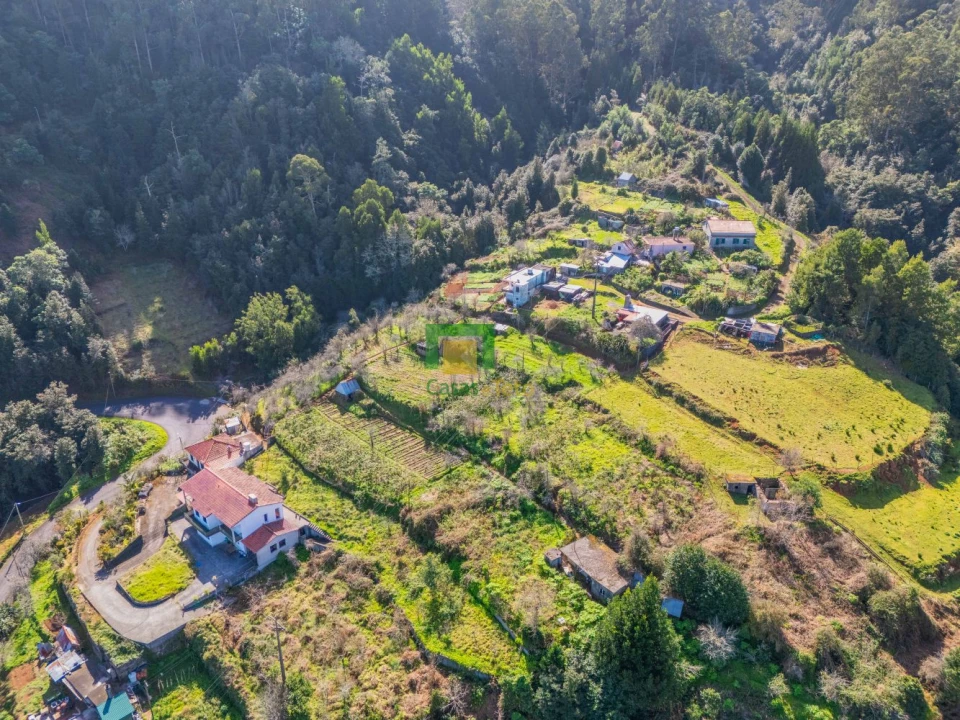 Terreno para Venda em São Roque do Faial Foto 9