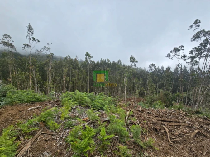 Terreno para Venda em Santo Antonio da Serra Foto 6