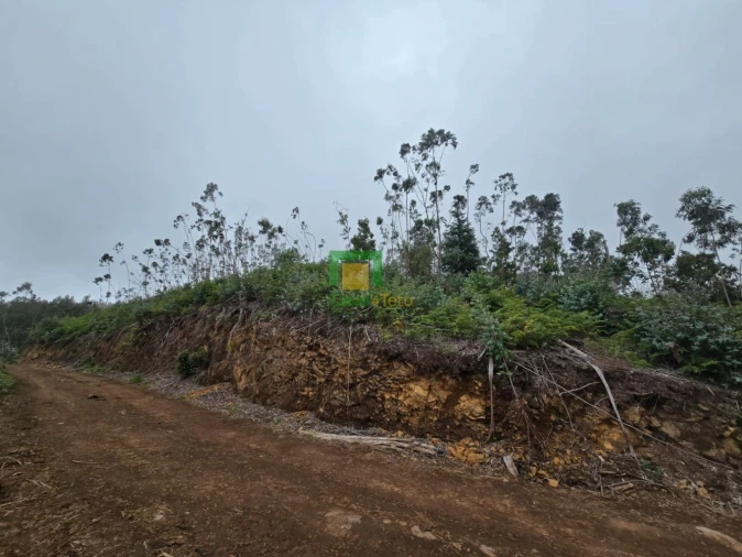 Terreno para Venda em Santo Antonio da Serra