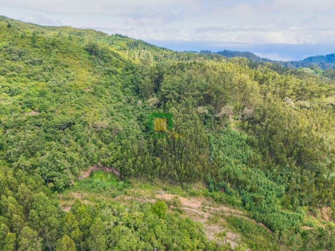Terreno para Venda em Santo Antonio da Serra Foto 13