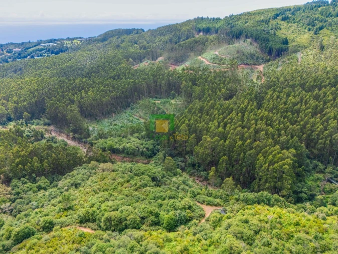 Terreno para Venda em Santo Antonio da Serra Foto 7