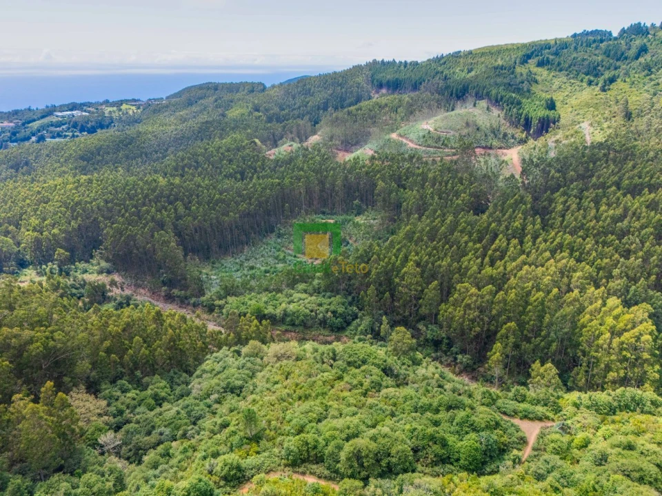 Terreno para Venda em Santo Antonio da Serra Foto 6
