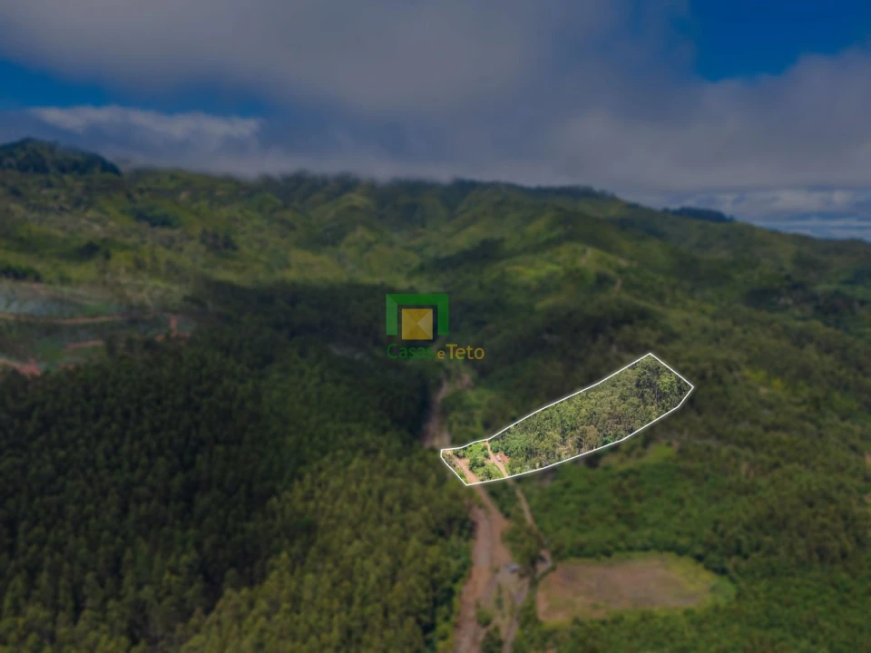 Terreno para Venda em Santo Antonio da Serra Foto 2